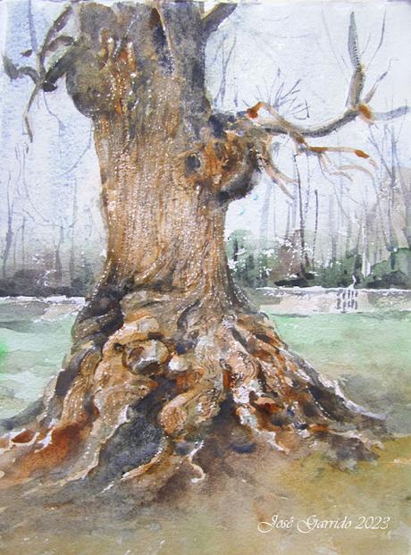 Acuarelas y explicaciones. Aniversario del blog.