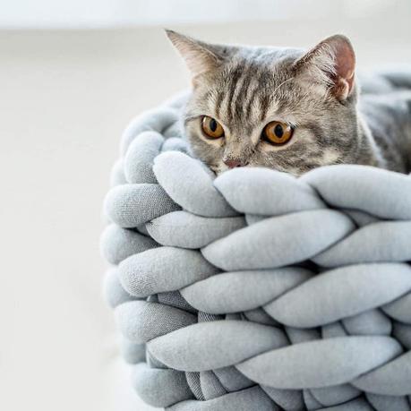 Video-tutorial para hacer una cama con trapillo para gatos y perros pequeños