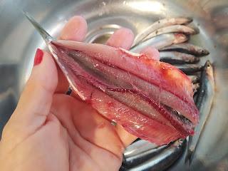 MORAGA DE BOQUERONES