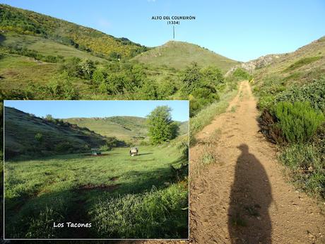 Truébano-Lazao-Bustagil-El Chao-Las Veigas-Riolago de Babia-Villasecino