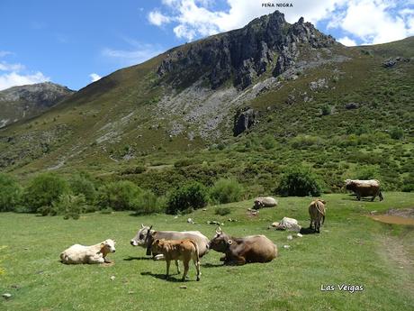 Truébano-Lazao-Bustagil-El Chao-Las Veigas-Riolago de Babia-Villasecino