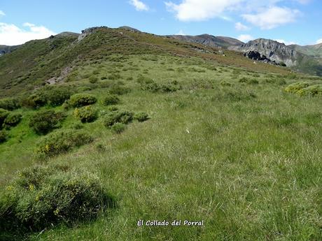 Truébano-Lazao-Bustagil-El Chao-Las Veigas-Riolago de Babia-Villasecino