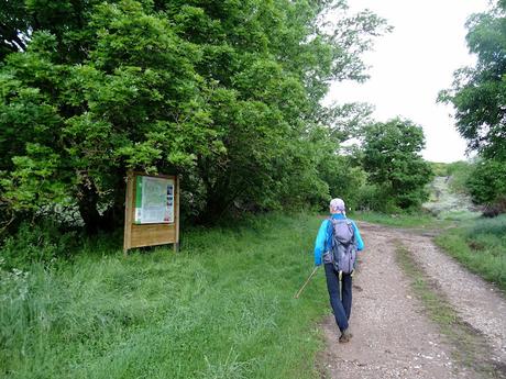 Truébano-Lazao-Bustagil-El Chao-Las Veigas-Riolago de Babia-Villasecino