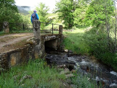 Truébano-Lazao-Bustagil-El Chao-Las Veigas-Riolago de Babia-Villasecino