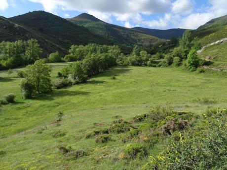 Truébano-Lazao-Bustagil-El Chao-Las Veigas-Riolago de Babia-Villasecino