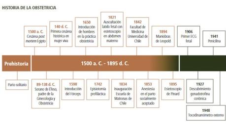 LAS MOTOSIERRAS SE INVENTARON PARA AYUDAR EN EL PARTO LAS MOTOSIERRAS SE INVENTARON PARA AYUDAR EN EL PARTO
