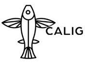 Editorial Caligrama Manuscritos, contacto libros