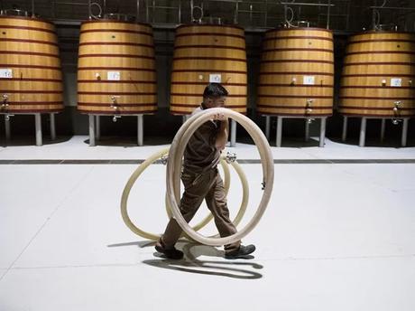 FILLABOA, CARRASCAS Y VINO BLANCO