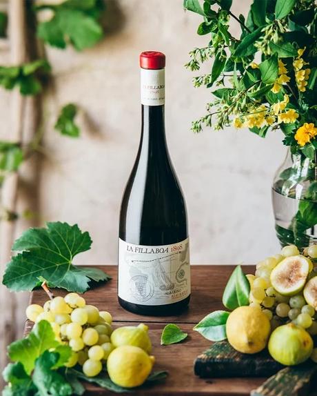 FILLABOA, CARRASCAS Y VINO BLANCO