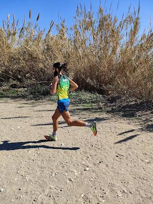 VII Cross Villa de Torrox