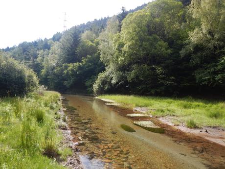 Estany de la Senyora | Valls d'Àneu