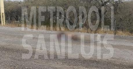 Abandonan hombre sin vida en carretera estatal en el municipio de Soledad