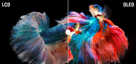 ASUS: 3 razones para elegir laptops ASUS OLED para este regreso a clases OLED-Colors-2