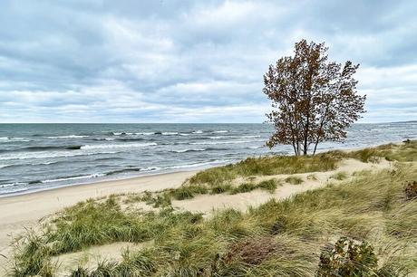 14 cosas mejor valoradas para hacer en Saugatuck, MI 14 cosas mejor valoradas para hacer en Saugatuck, MI