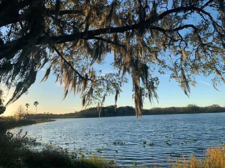 Parque del lago David, Groveland