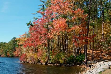 15 mejores cosas para hacer en Westborough (MA)