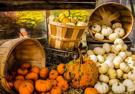 15 mejores cosas para hacer en Westborough (MA)