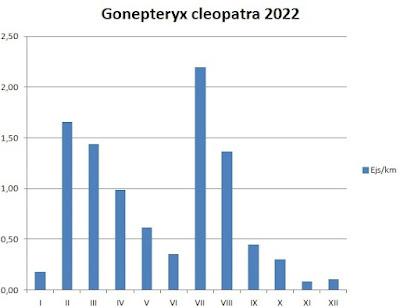 Mariposas cleopatra y limonera, fenología en 2022