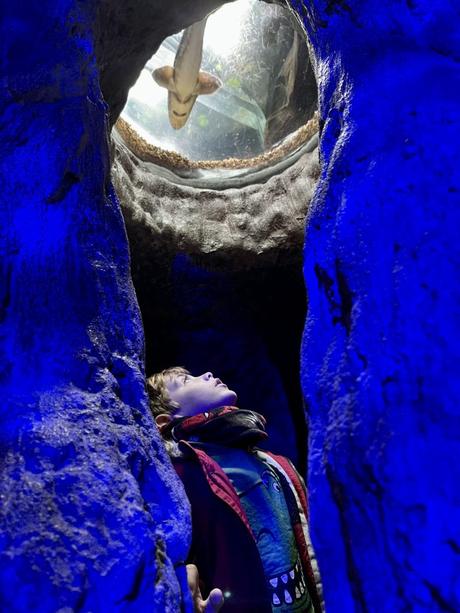 Qué hacer con niños en Gijón  http://www.lalupaviajera.com/