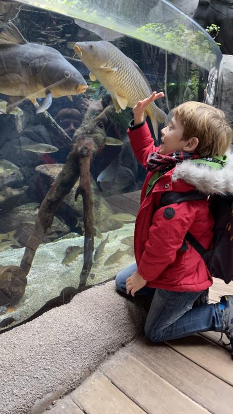 Qué hacer con niños en Gijón  http://www.lalupaviajera.com/