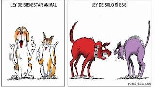 Del escritor Vargas Llosa