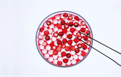 Canibalismo sintetizado: ¿qué tiene de malo comer carne humana de laboratorio?