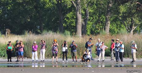 Laguna de Lobos (enero 2023)