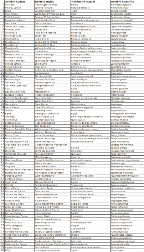 Laguna de Lobos (enero 2023)