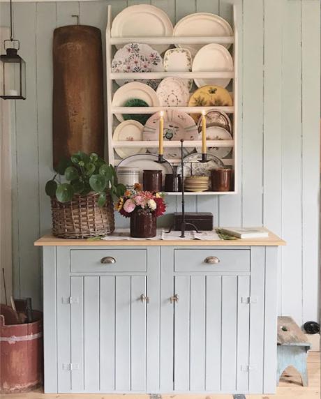 La planta de moda...