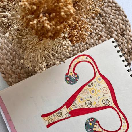 útero ENDOMETRIOSIS: Más información y más visibilización son necesarias.