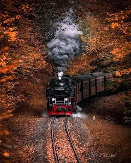 5.381 - SE MARCHA EL TREN... 5.381 - SE MARCHA EL TREN...