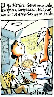 Del pacifismo Del pacifismo