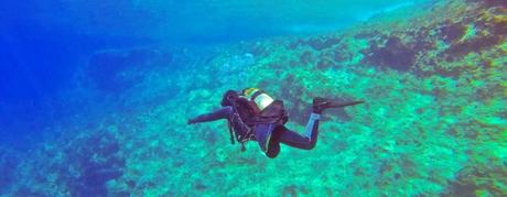 Que ver en Punta Cana en la República Dominicana