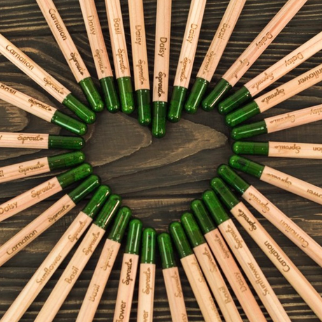 Regalos ecológicos por San Valentin: SproutWorld Love Edition, maquillaje y lápices que se convierten en hermosas flores