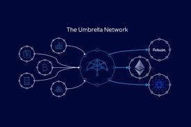 ¿Que es Umbrella (UMB)?