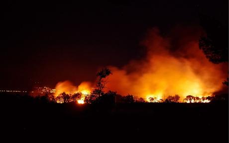 MCI informa sobre los efectos del primer incendio forestal de 2023 en España