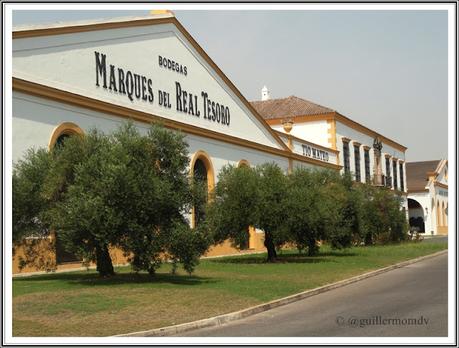 Amontillado Del Príncipe 15 Años y las Bodegas Marqués del Real Tesoro.
