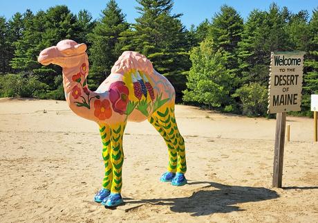 15 cosas mejor valoradas para hacer en Freeport, ME 15 cosas mejor valoradas para hacer en Freeport, ME