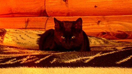 La desconfianza no es un método preventivo sano.