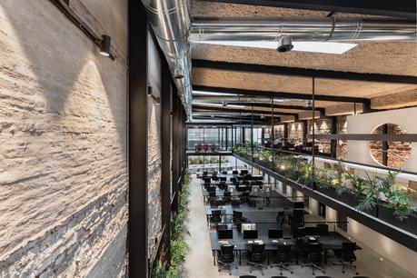 Oficinas WILD FI, Montevideo / TIMB Arquitectura