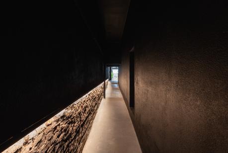 Oficinas WILD FI, Montevideo / TIMB Arquitectura