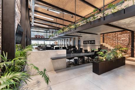 Oficinas WILD FI, Montevideo / TIMB Arquitectura