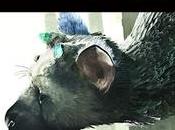 Last Guardian
