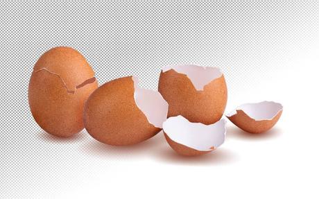 Bifeedoo presenta un pienso ecológico para gallinas ponedoras capaz de lograr una cáscara más dura