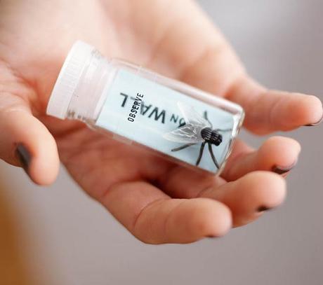 El kit para la creatividad