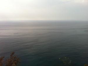 Mar ¿CÓMO ASUMISTEIS VUESTRO DESPIDO?