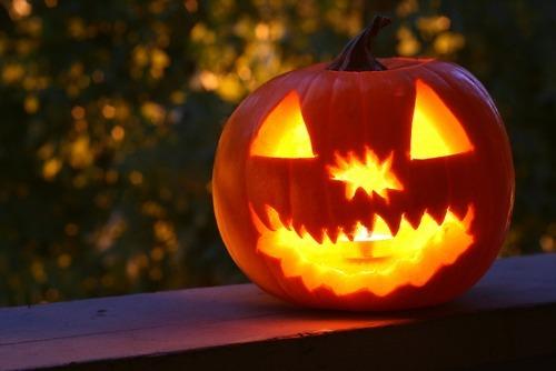 Tumblr_lsqbeyua9m1r3xxjuo1_500_large