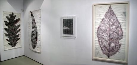 Manuel Valencia: Cartas y Pizarras