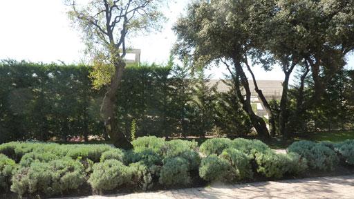 Os presentamos el proceso constructivo de un nuevo proyecto A-cero!