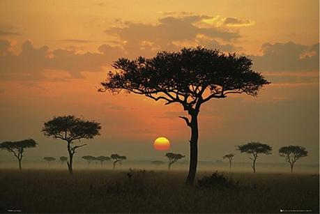 africa-acacias-puesta-sol Exploiting Africa
